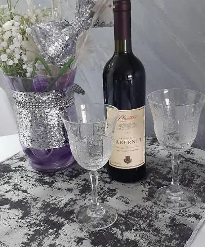 Apartmán Cozzy Near The Aiport Podgorica